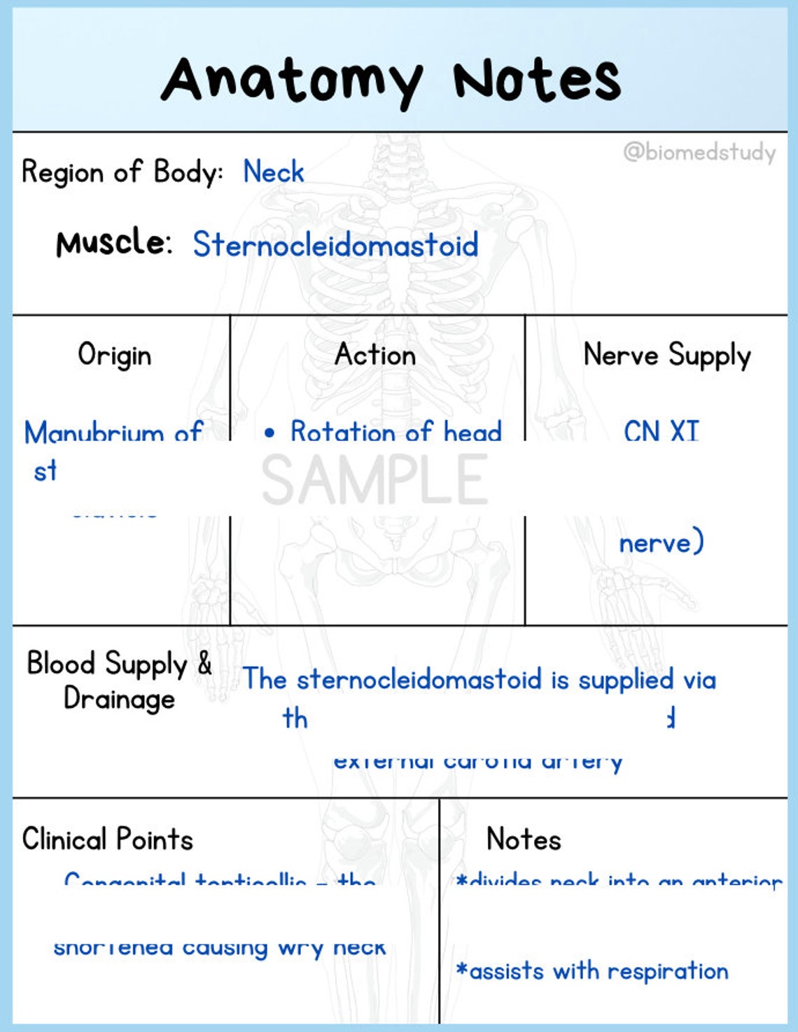 Anatomy and Physiology Note Taking Templates Study Guide Etsy