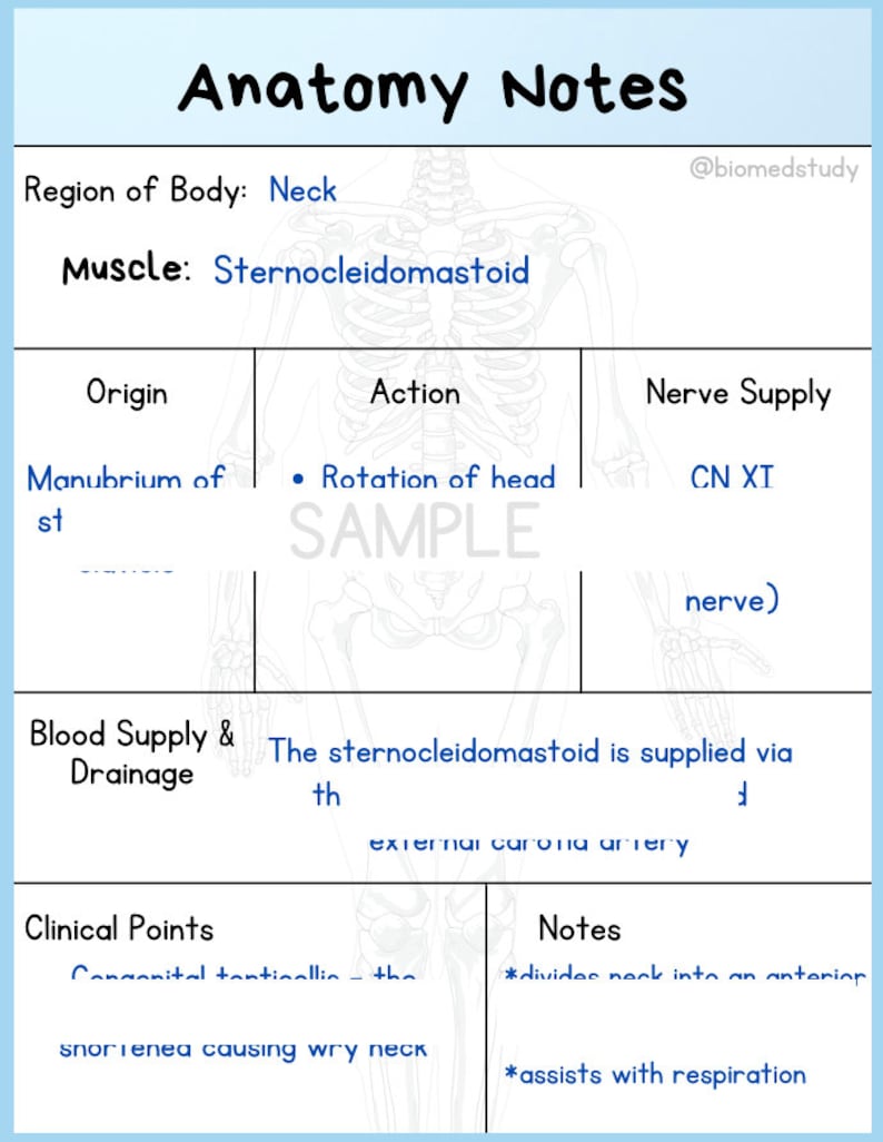 Anatomy and Physiology Note Taking Templates Study Guide Etsy