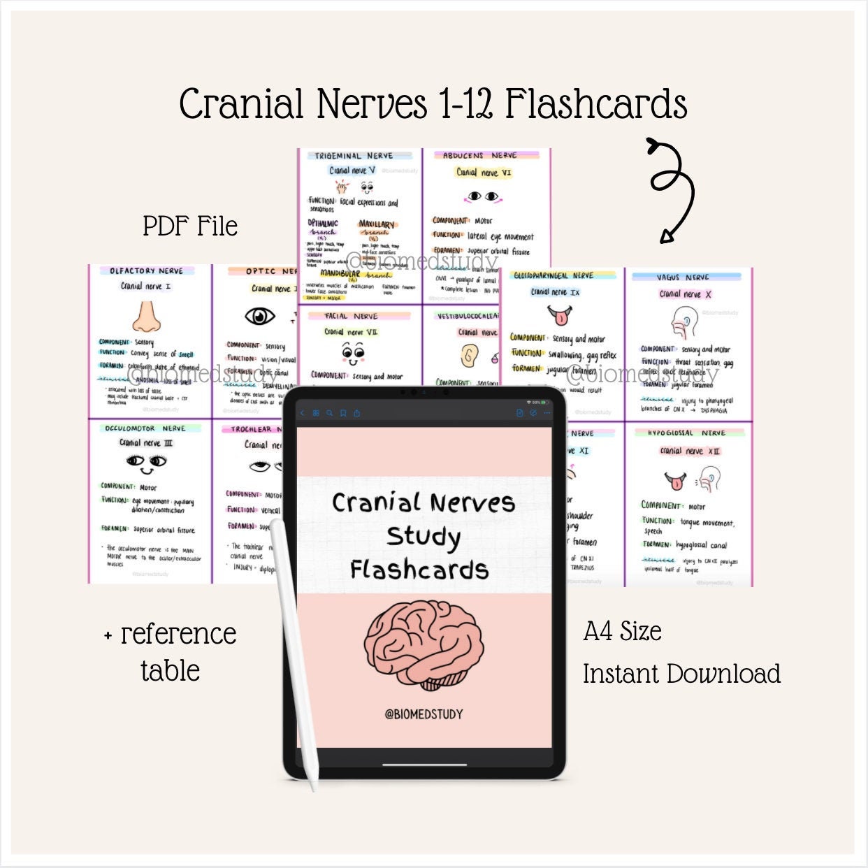 Cranial Nerve Flashcards Etsy