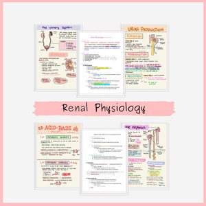 Nieren Physiologie Notizen Bündel | Anatomie und Physiologie Nierensystem