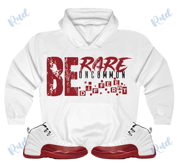 jordan 12 hoodie