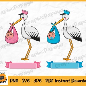 Baby und Storch Sonderlieferung Clipart rosa und blau, svg, png, jpg, pdf