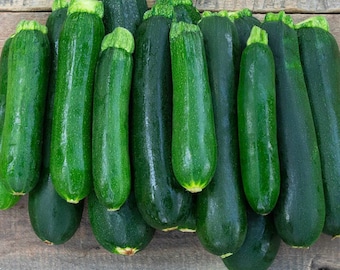 Zucchini seeds