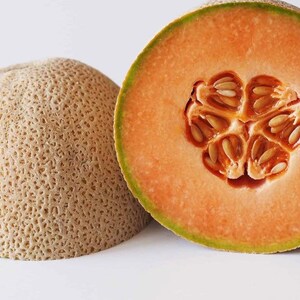 BULK Cantaloupe seeds