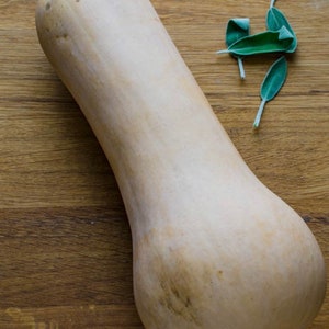 BULK Butternut squash