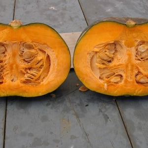 Semi di zucca (Calabaza)