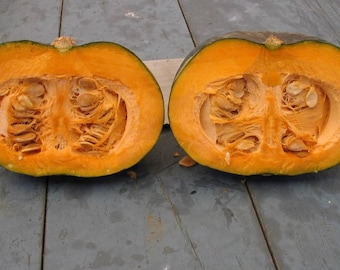 Pumpkin seeds (Calabaza)