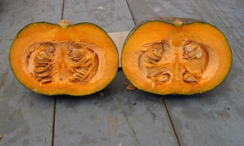 May include: Two halves of a pumpkin, cut in half and showing the orange flesh and seeds inside. The pumpkin has a dark green rind.