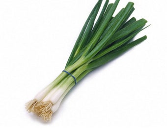 Green Onion seeds (400mg)