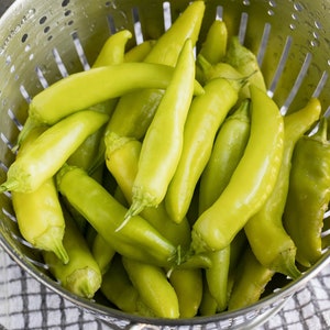 Banana Pepper seeds