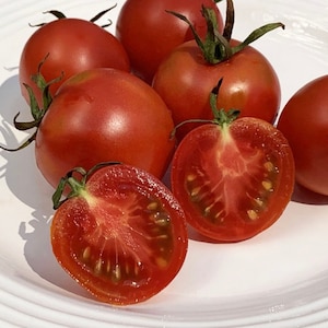 Tomato seeds (150mg)
