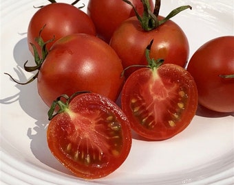 Tomato seeds (150mg)