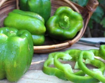 Semillas de pimientos verdes (50 semillas)