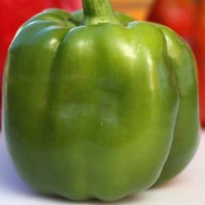 Giant Bell Pepper seeds (100 seeds)