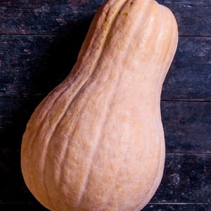 Puede incluir: Una calabaza butternut grande de color naranja pálido con un extremo ligeramente puntiagudo. La calabaza está sobre una superficie de madera oscura.
