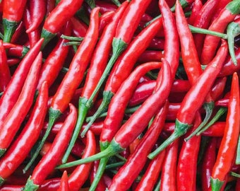 Florida Chilli Pepper seeds