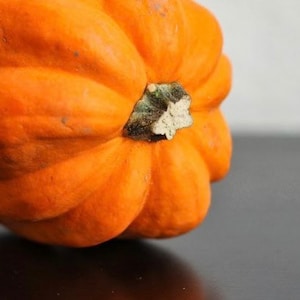 Acorn squash seeds (25 seeds)