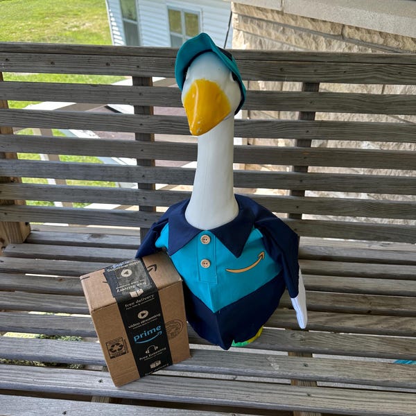 Amazon delivery goose outfit