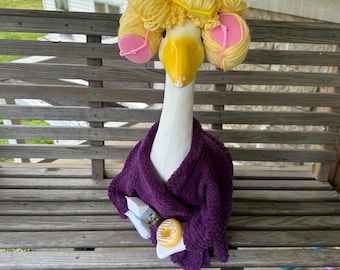robe and curlers set