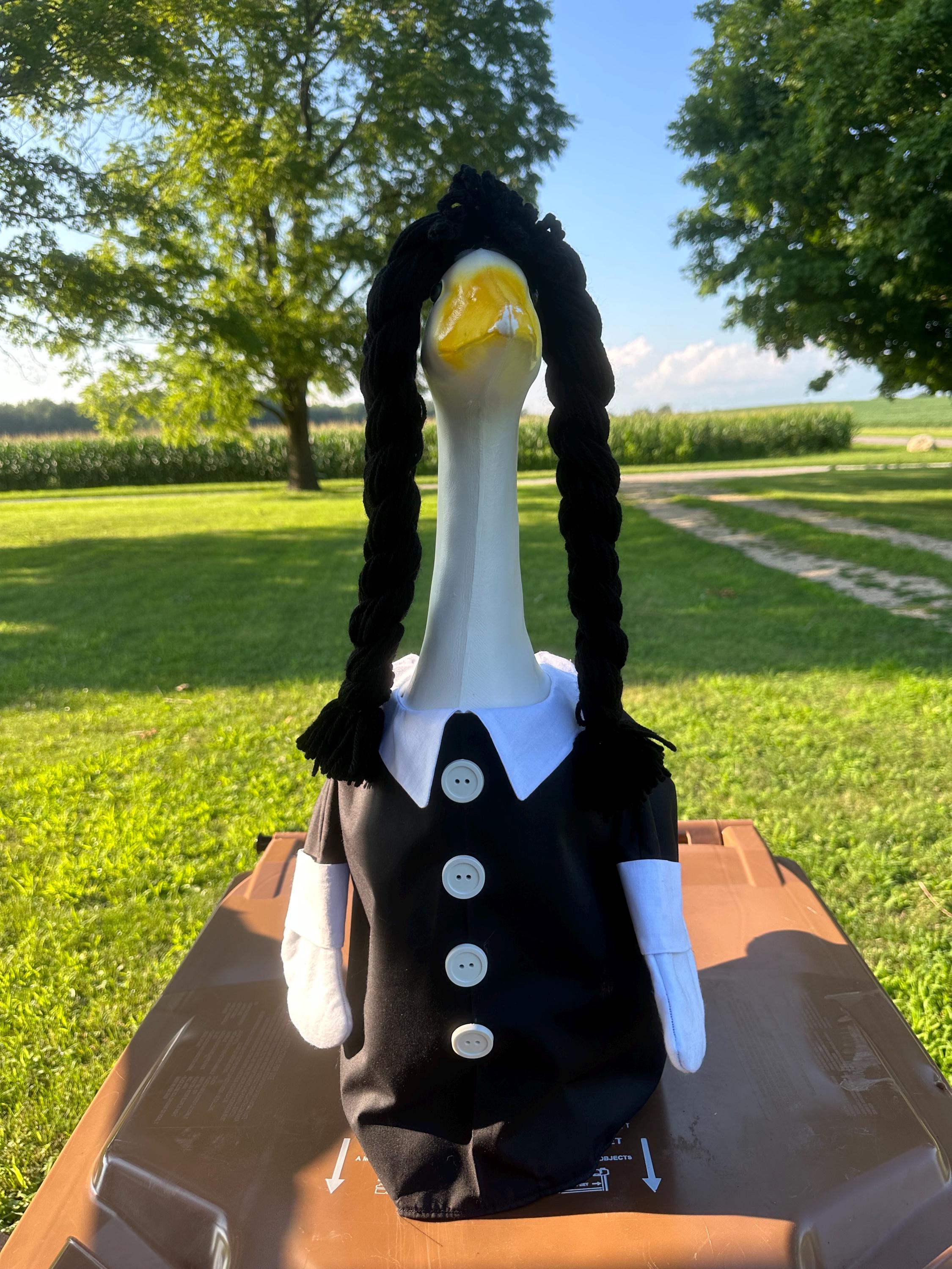 Wednesday adams goose outfit