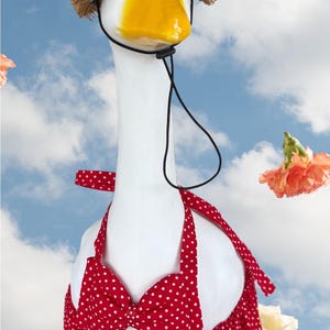 porch goose bikini