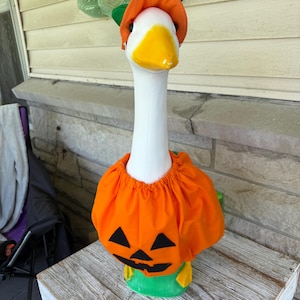 pumpkin goose costume