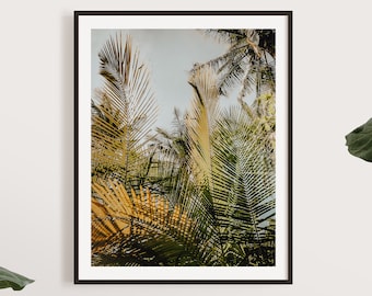 Koh Tao Thailand South East Asia | Palm Tree Tropical Paradise | Travel Photography Fine Art Wall Print | Free UK delivery