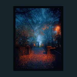 auburn print