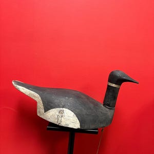Stunning antique Canadian duck decoy  — 20 x 9” high — chip on tail — great patina — wonderful example