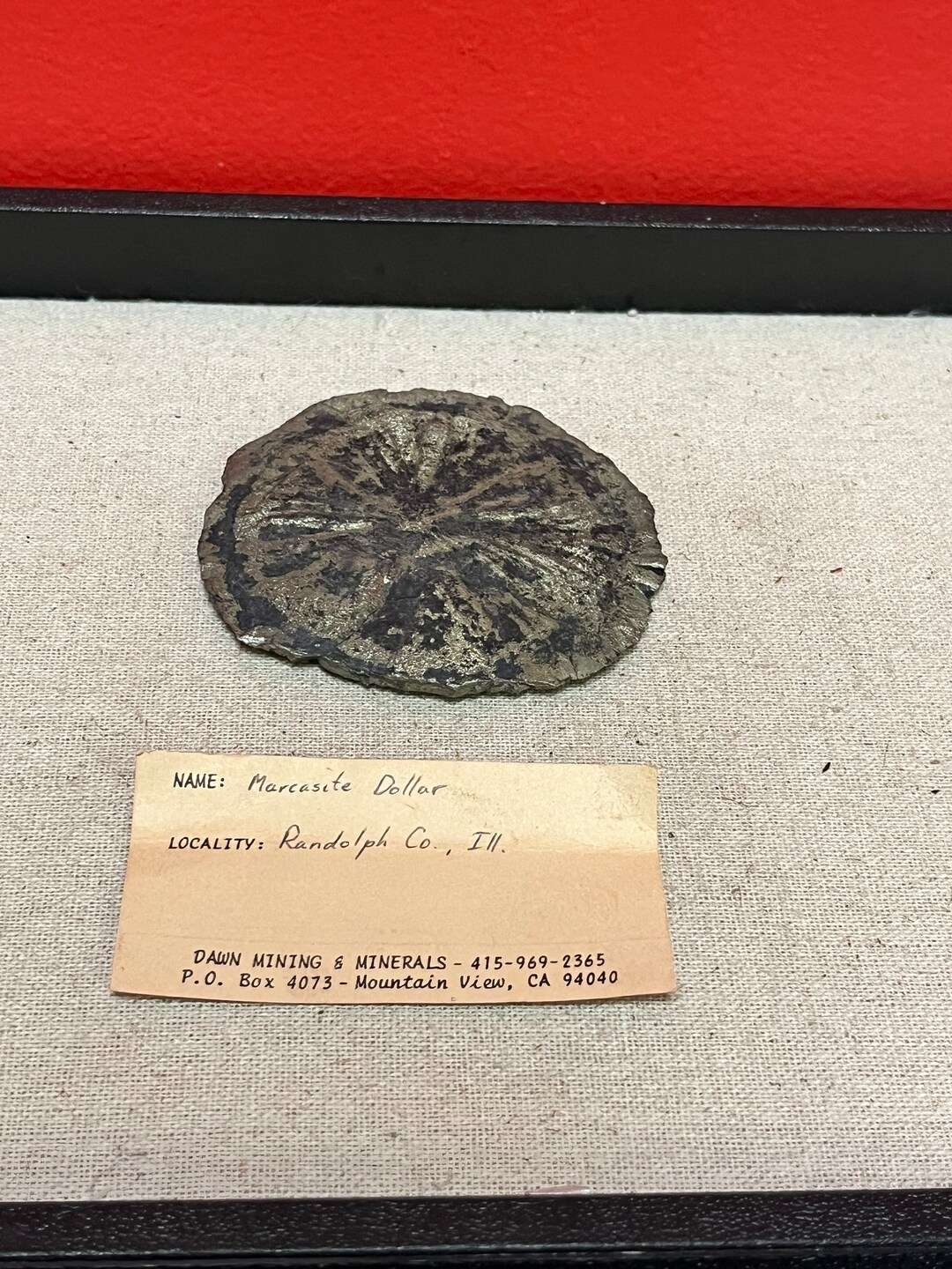 Lovely 3 Inch Marcasite Dollar From Randolph Idaho — Very Cool