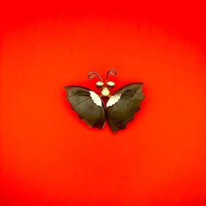 Stunning Jade and gold Butterfly Brooch