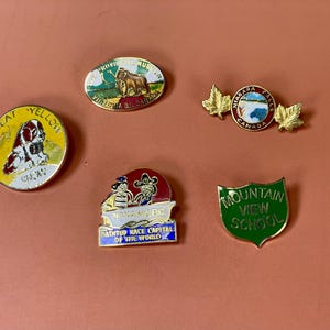 100% Vintage Pins und neue Pins