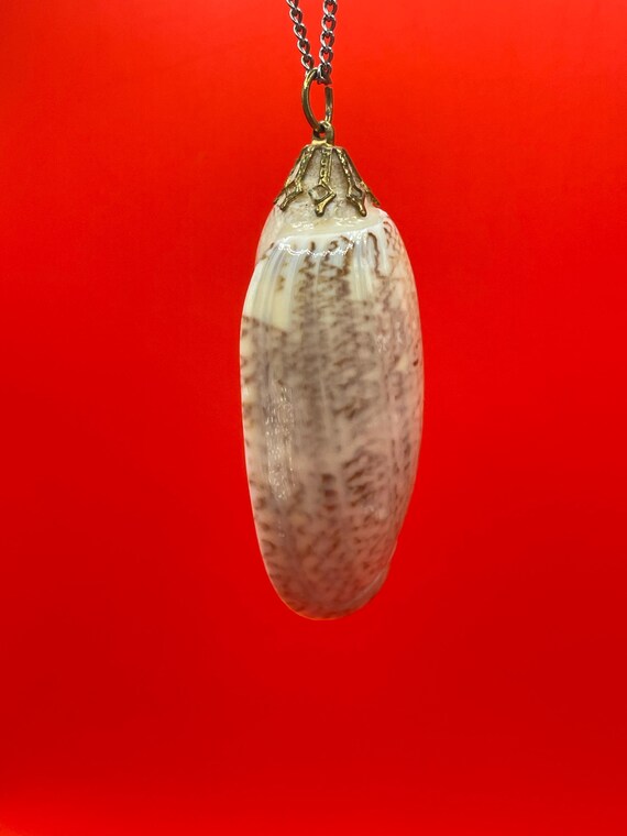 Polished Shell Pendant Necklace - image 2