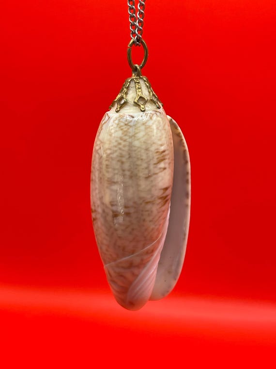 Polished Shell Pendant Necklace - image 3