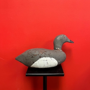 Lovely antique Canadian 14 inch long wooden painted duck decoy — great condition for age