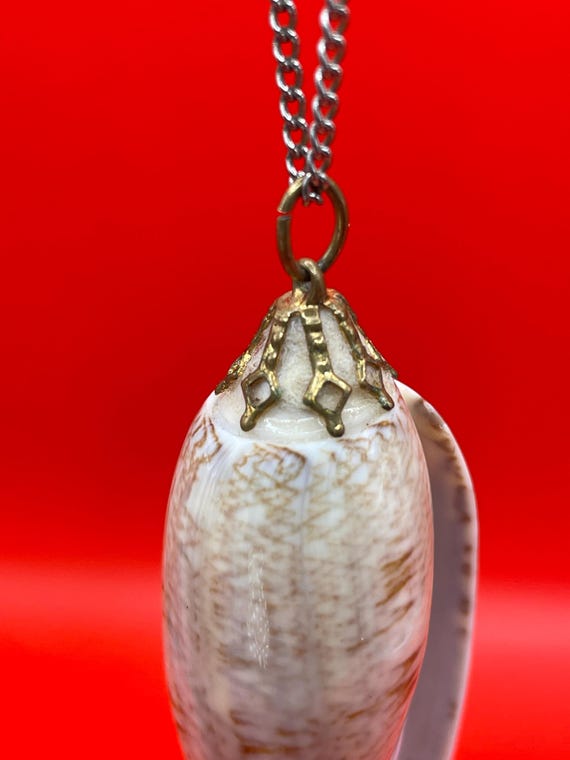 Polished Shell Pendant Necklace - image 4