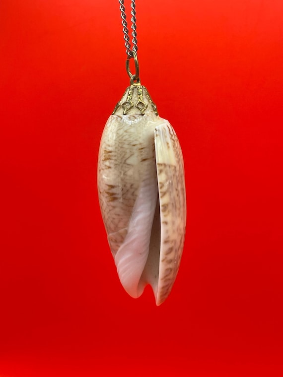 Polished Shell Pendant Necklace - image 1