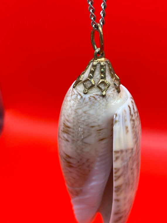Polished Shell Pendant Necklace - image 5