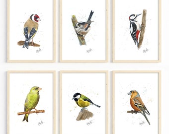 Original Watercolour Bird Painting Prints | Garden Birds | Art | Goldfinch, Long-tailed Tit, Woodpecker, Green Finch, Great Tit, Chaffinch