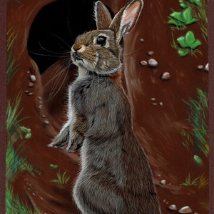 May include: A brown rabbit with white fur on its tail stands on its hind legs, looking up at the viewer. The rabbit is in front of a dark brown cave opening with green plants growing around it.