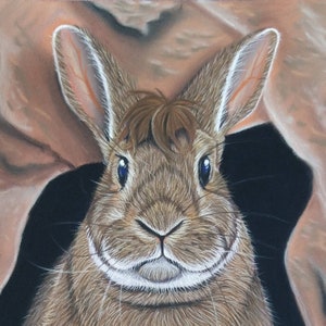 Bigwig Watership Down geïnspireerd A4 Art Print