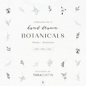 24 plantas y ramas, Colección n.° 2, Imágenes prediseñadas de plantas, SVG de plantas, Elementos botánicos, Ramitas, Hojas, Paquete SVG de plantas, SVG de plantas para Cricut