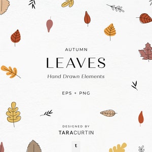 Autumn Leaves Bundle, Autumn Leaves Clipart, Leaves Clipart, Leaves EPS, Leaves PNG, Leaves Graphic, Leaf Graphic, Leaf, Leaf Clipart, Fall