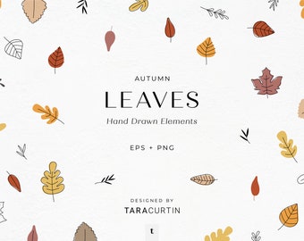 Autumn Leaves Bundle, Autumn Leaves Clipart, Leaves Clipart, Leaves EPS, Leaves PNG, Leaves Graphic, Leaf Graphic, Leaf, Leaf Clipart, Fall
