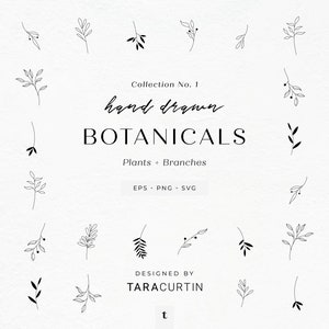 May include: A set of 20 hand-drawn botanical illustrations, featuring simple black line drawings of leaves and branches. The illustrations are labeled "Collection No. 1 hand drawn BOTANICALS Plants + Branches EPS PNG SVG DESIGNED BY TARACURTIN t"