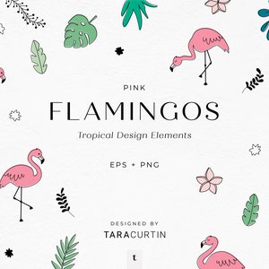 Pink Flamingos Tropical Design Elements, Flamingo Clipart, Flamingo PNG, Tropical Clipart, Summer Clipart, Tropical Plants