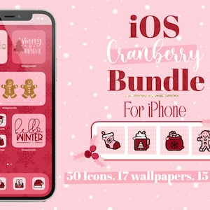 Conjunto de paquetes de iconos de la aplicación Cranberry, iPhone iOS, iconos personalizados, widgets de pantalla de inicio