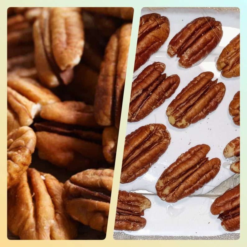 Pecan Silicone Mold 12 Cavity Realistic Pecan Silicone Mold Etsy