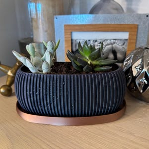 May include: A dark blue, ribbed planter with a copper-colored saucer holds two small succulents. The planter is on a light wood surface, with decorative items in the background. The succulents have green and light green leaves.