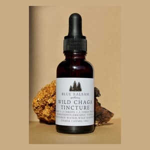 Wild Chaga Tincture